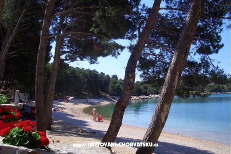 Apartments KIKO - Drage – photo 9