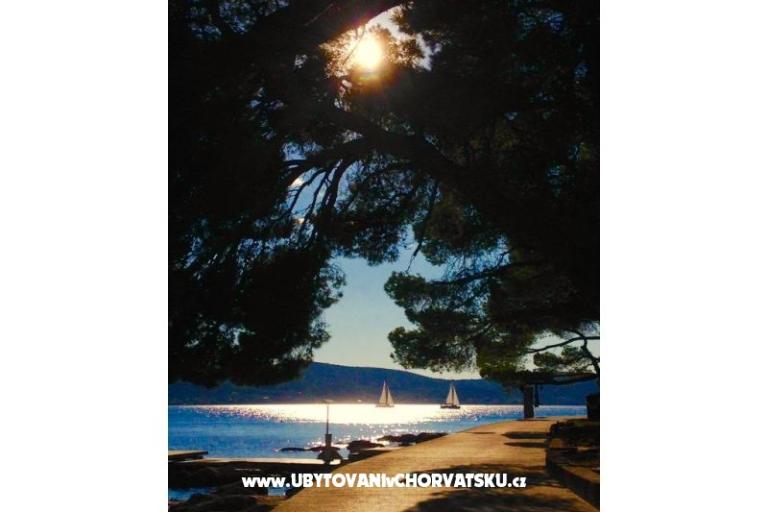 Apartments Lucija – photo 17
