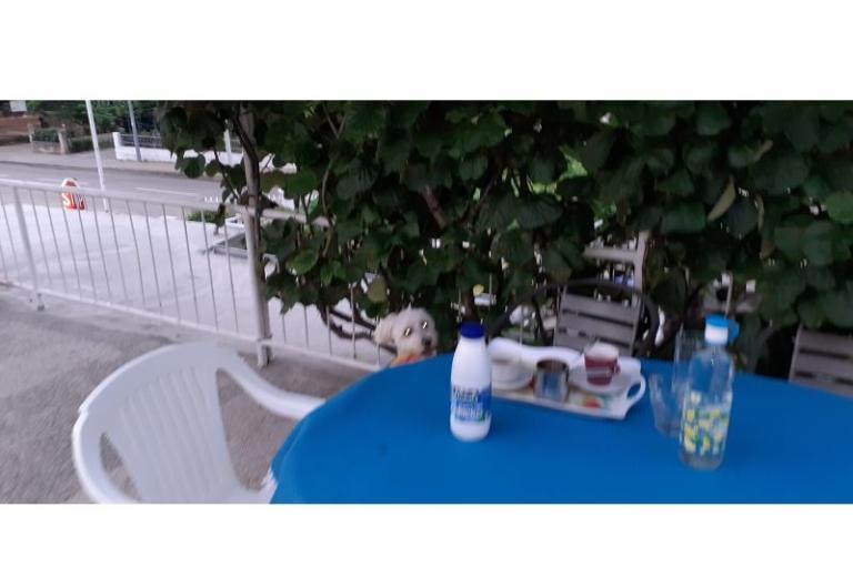 Apartments Margarita – photo 4
