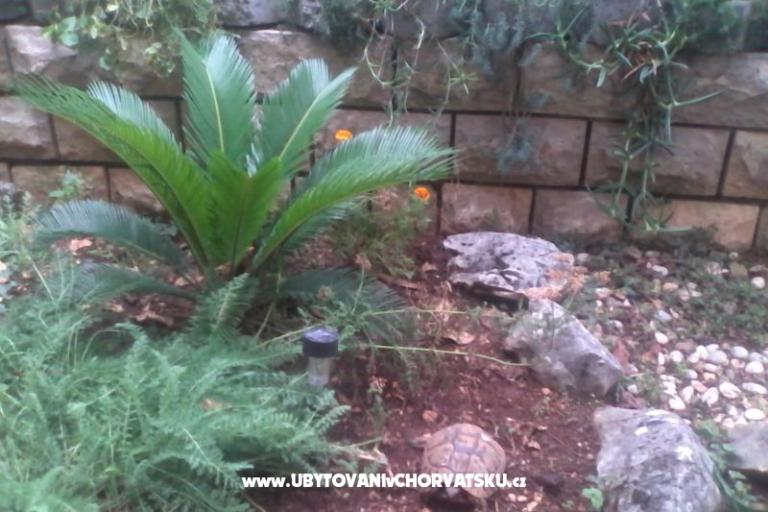 Apartments Mitja – photo 18