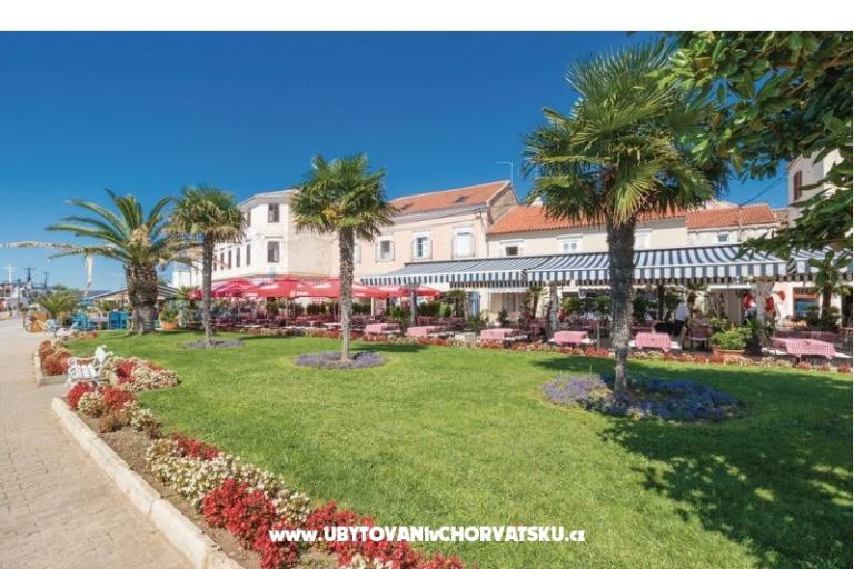 Apartments Nikola – photo 14