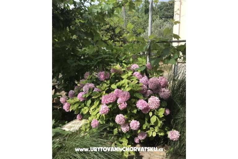 Apartments Sunčana Dalmacija – photo 8