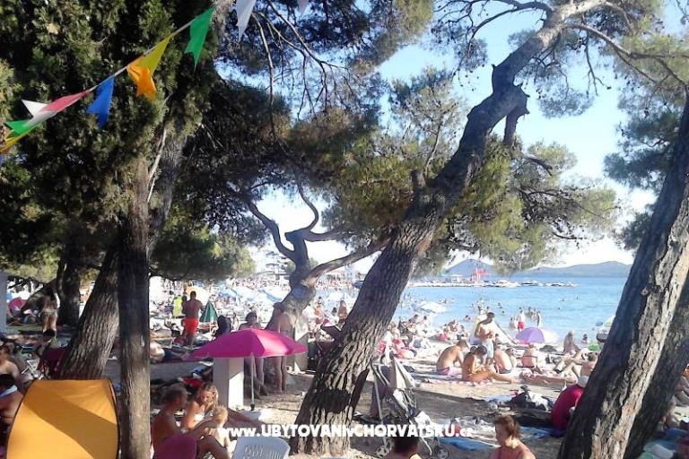 VILLA BERNARD..150 m plaža DRAŽICA – photo 11