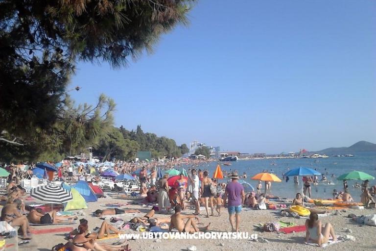 VILLA BERNARD..150 m plaža DRAŽICA – photo 12