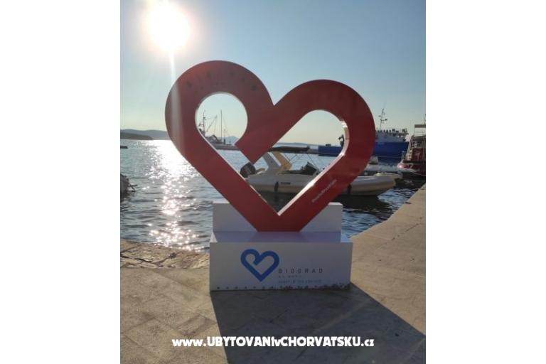 VILLA BERNARD..150 m plaža DRAŽICA – photo 14