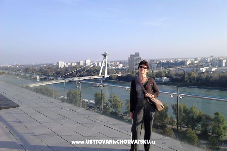 VILLA BERNARD..150 m plaža DRAŽICA – photo 19