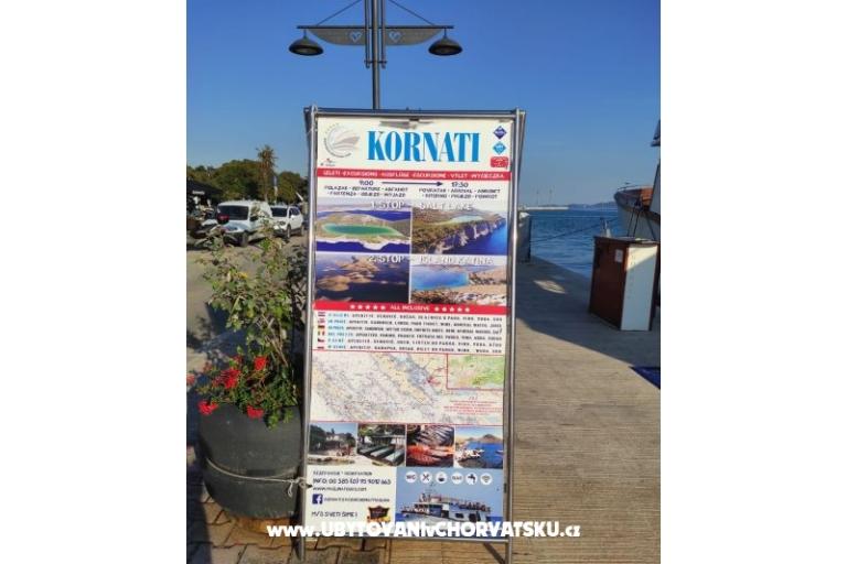 VILLA BERNARD..150 m plaža DRAŽICA – photo 21