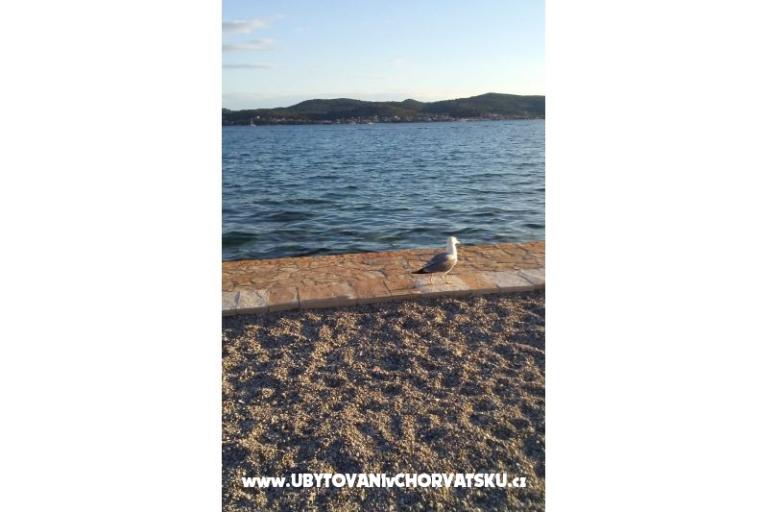 VILLA BERNARD..150 m plaža DRAŽICA – photo 24