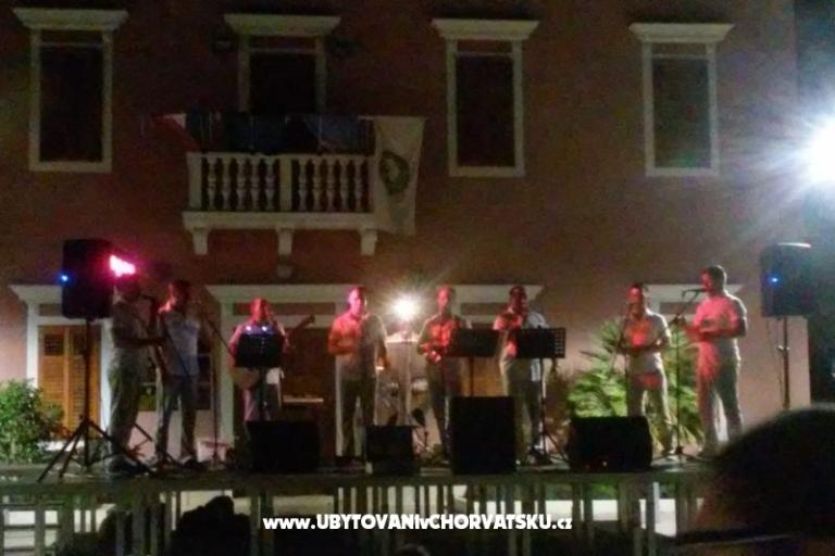 VILLA BERNARD..150 m plaža DRAŽICA – photo 28