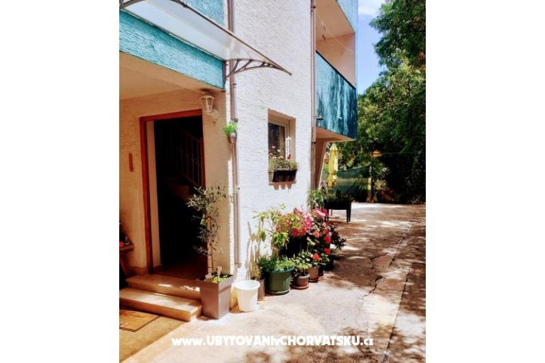 VILLA BERNARD..150 m plaža DRAŽICA – photo 3