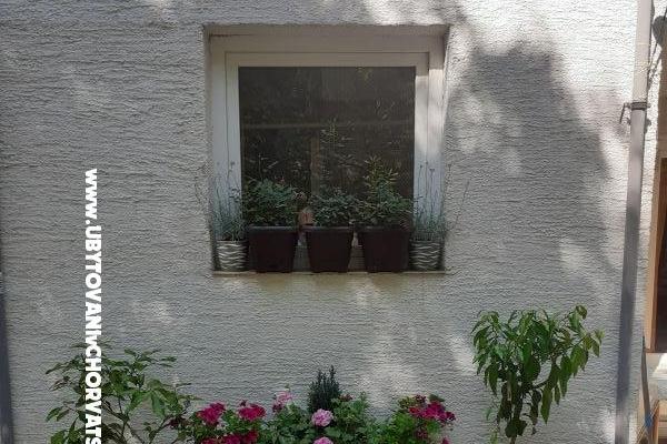 VILLA BERNARD..150 m plaža DRAŽICA – photo 4