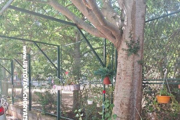 VILLA BERNARD..150 m plaža DRAŽICA – photo 50