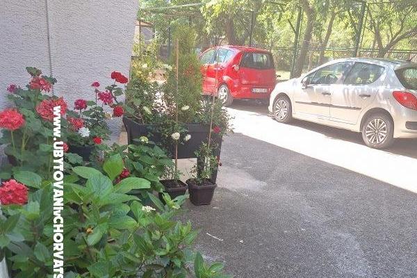 VILLA BERNARD..150 m plaža DRAŽICA – photo 51