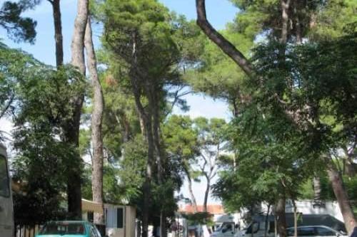 Auto Camp Diana – photo 2