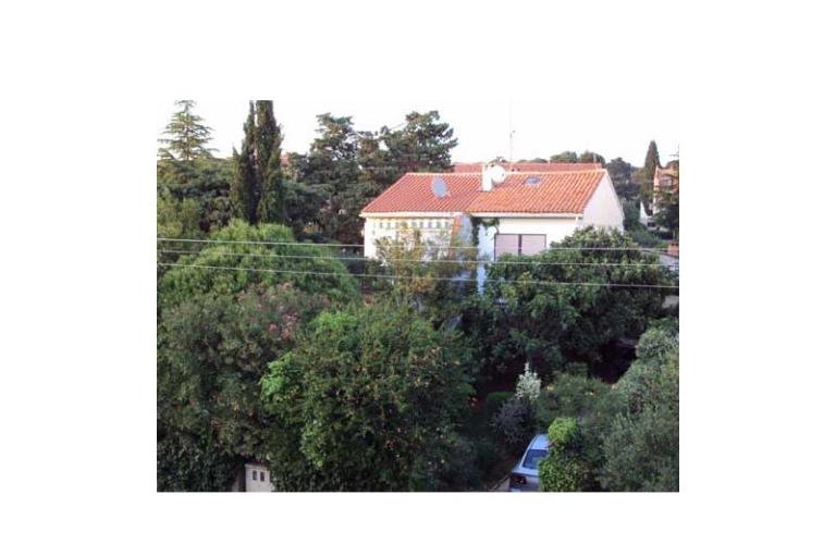 Jakobac1 – photo 9