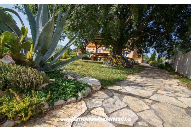 Studio apartmani Petra – photo 6