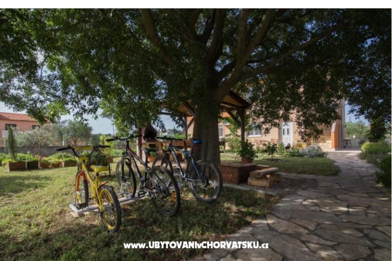 Studio apartmani Petra – photo 7