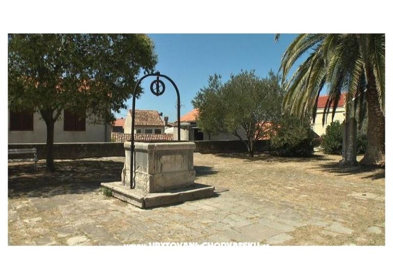 Studio apartmani Petra – photo 9