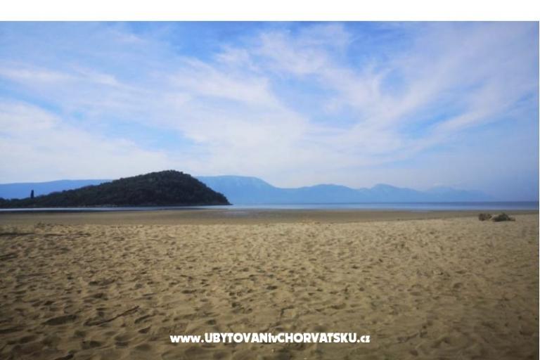 Apartment Ozana – photo 12
