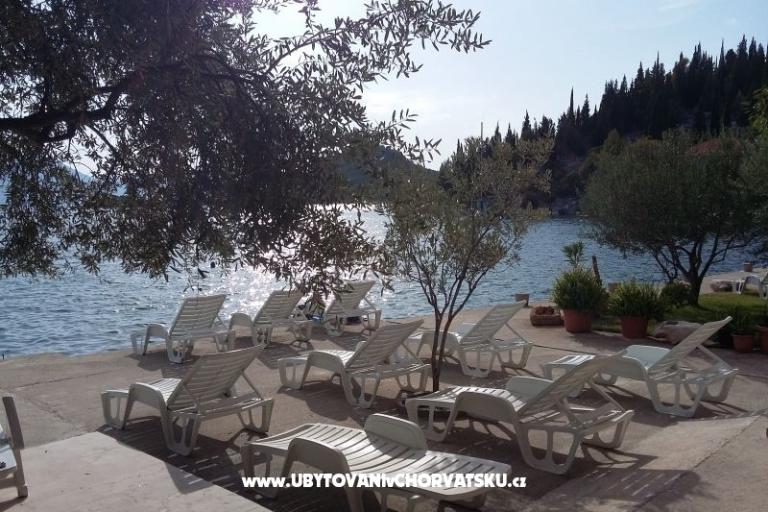 Apartments Ana – photo 2