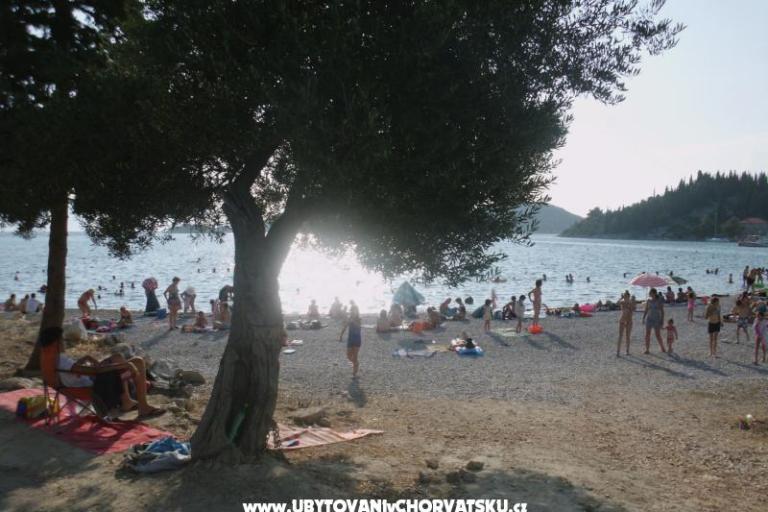Apartments  Petar – photo 4
