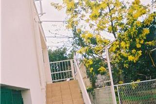 Apartments Blace – photo 6