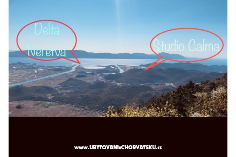 Studio Calma  – photo 14