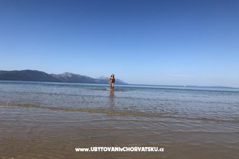 Studio Calma  – photo 17