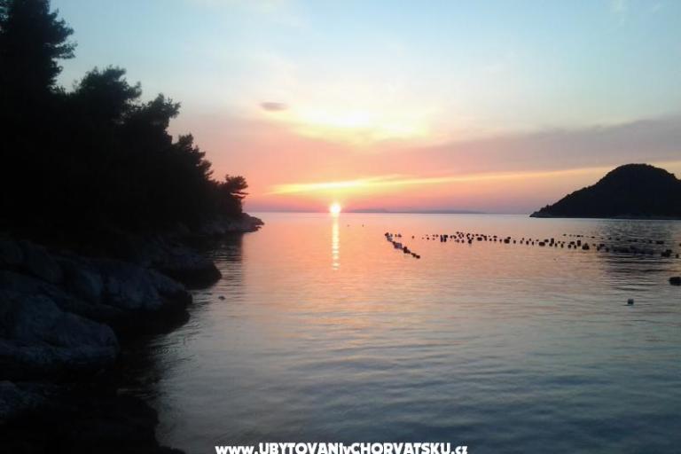 Villa Mala – photo 9