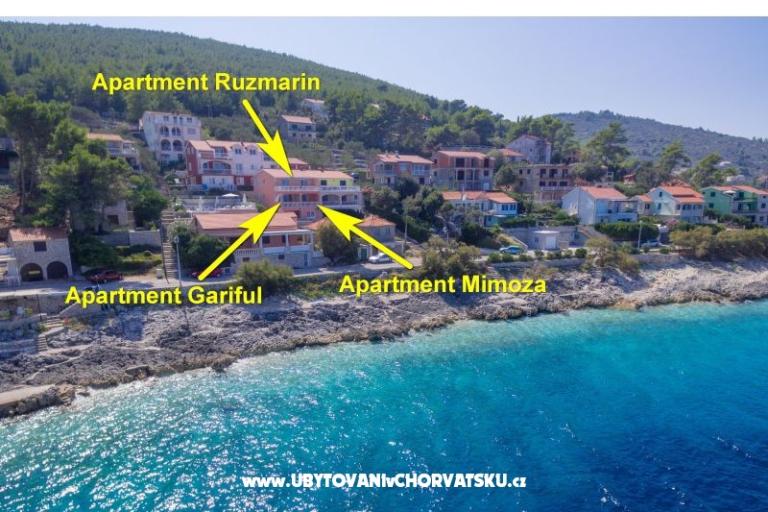 Apartments Andrijic – photo 4