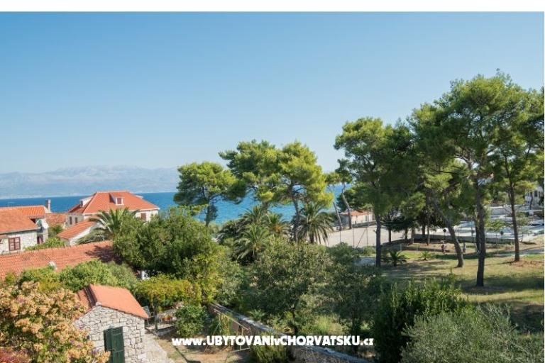 * Dvori * – photo 9