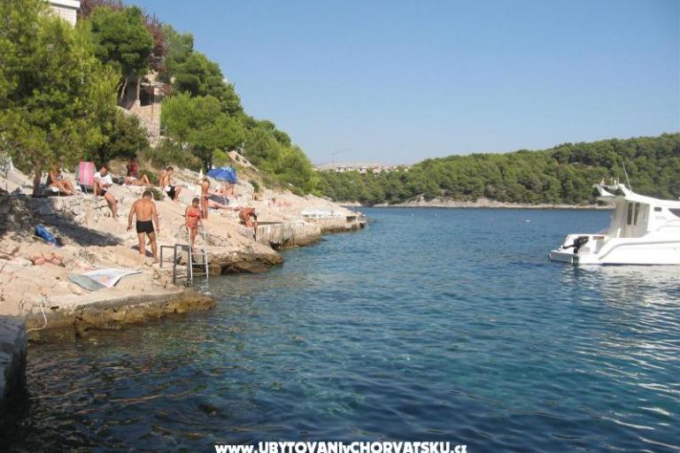 Apartments Bili Milna Osibova – photo 7