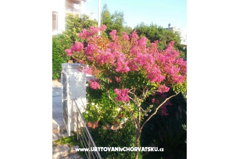 Apartments Kunac – photo 13