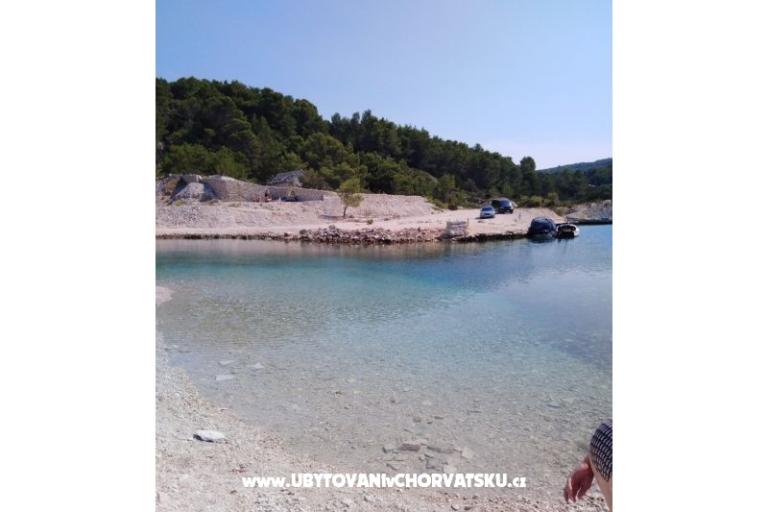 Apartments Mariva  – photo 13