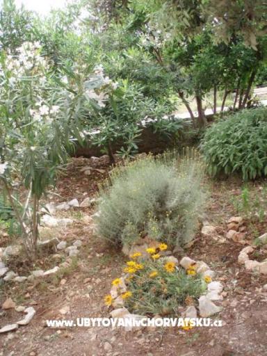 Apartments Nada – photo 12
