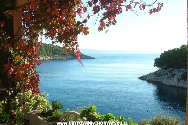 Apartments Rogosic – photo 15