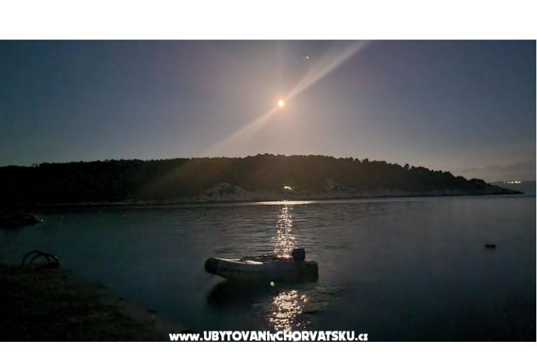 Apartments Rogosic Osibova – photo 14