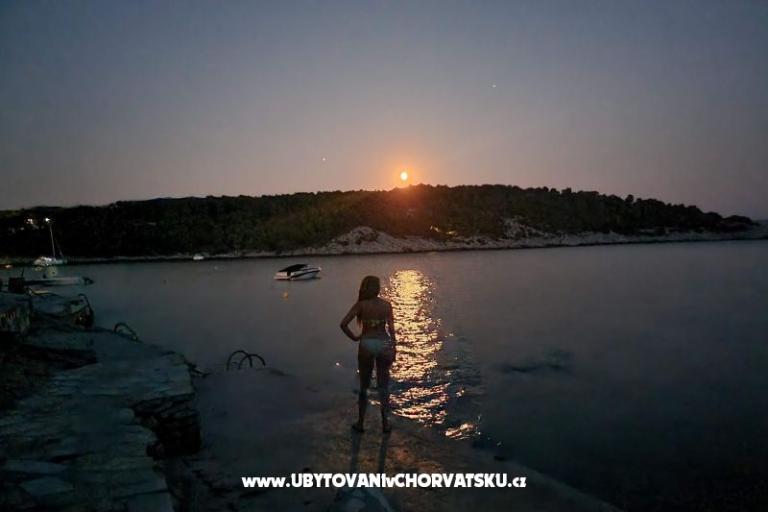 Apartments Rogosic Osibova – photo 17