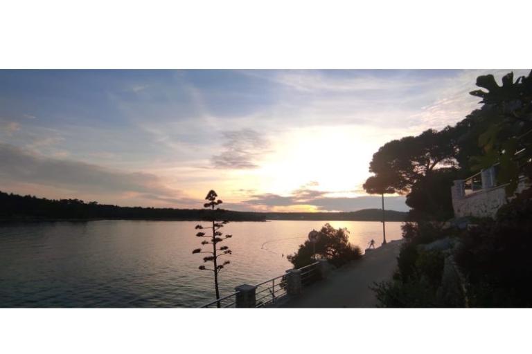 Apartments Rogosic Osibova – photo 18