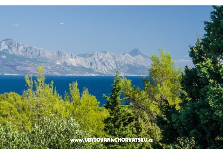 Apartments Silva – photo 10