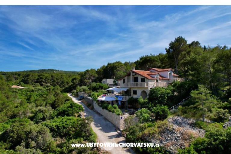 Apartments Villa Dragica – photo 5