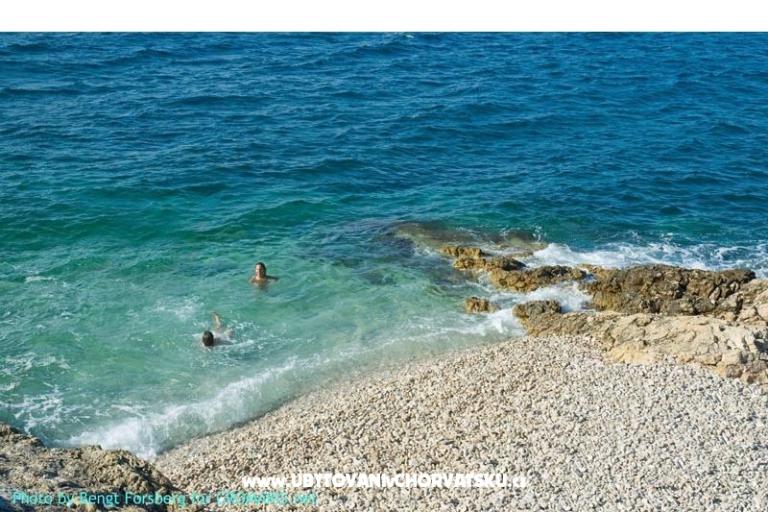 Apartments Vladislavic – photo 14