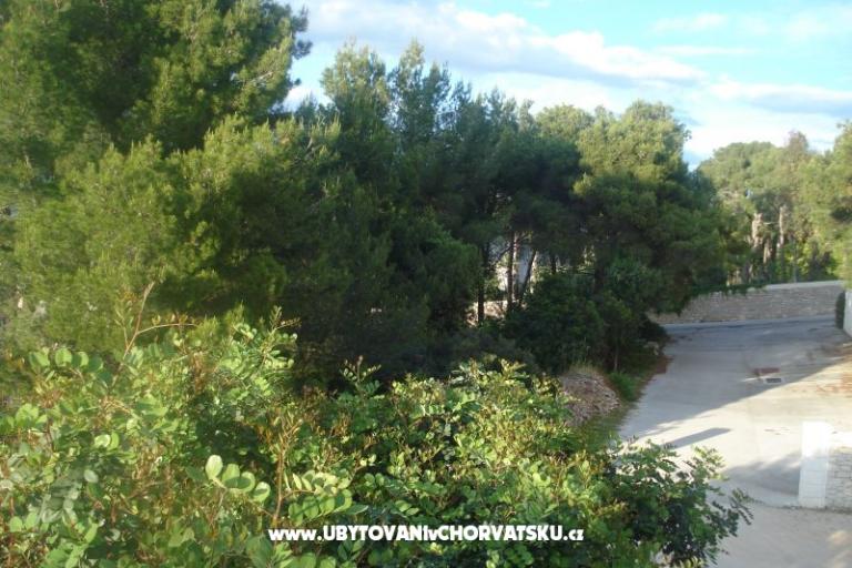 Apartments Vladislavic – photo 8