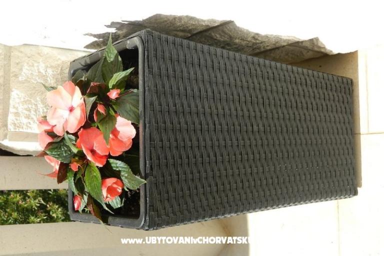 Apartments JELAVIĆ – photo 9