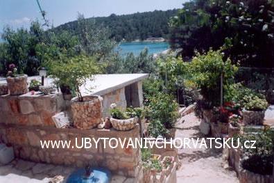 Apartments Miletic – photo 3