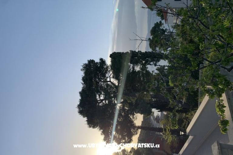 Apartment Luš – photo 10