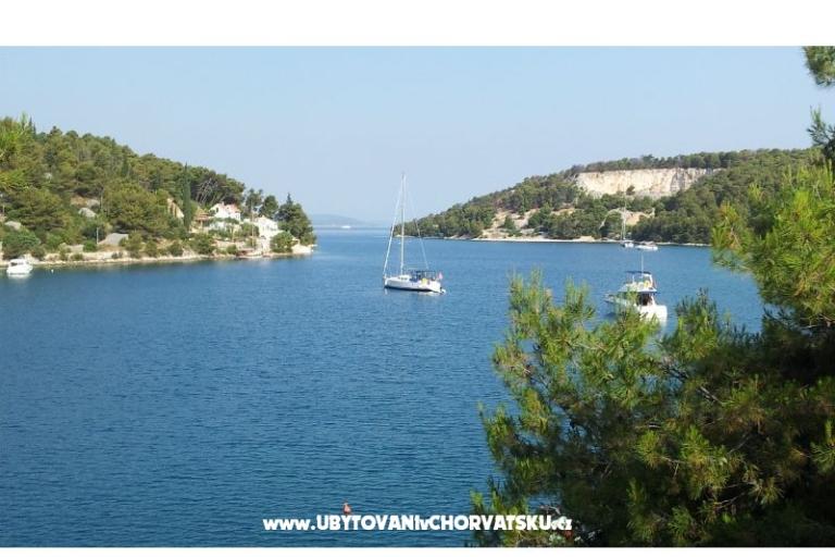 Villa Roza Bobovišče – photo 5