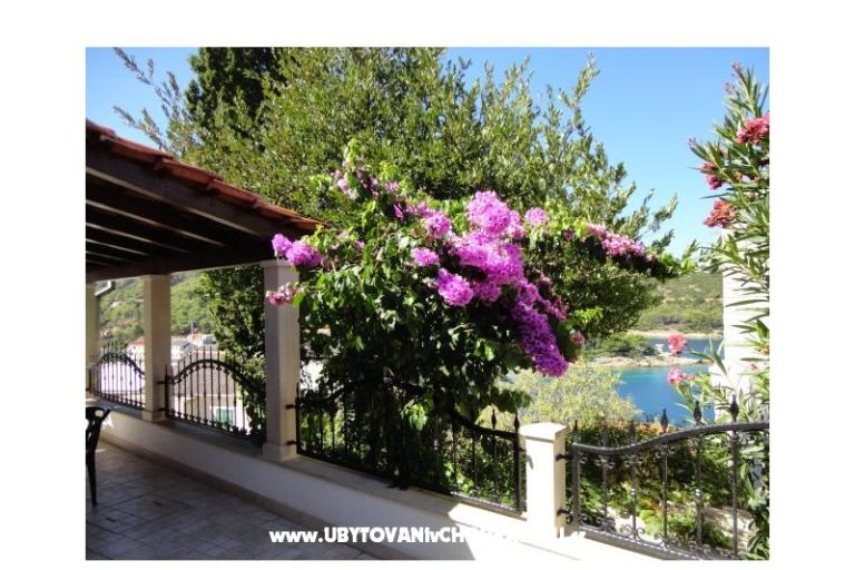 House Bjedov – photo 17