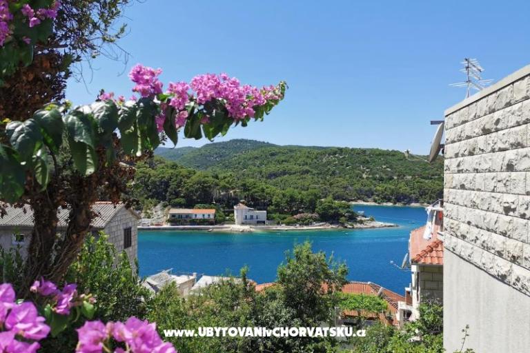 House Bjedov – photo 23