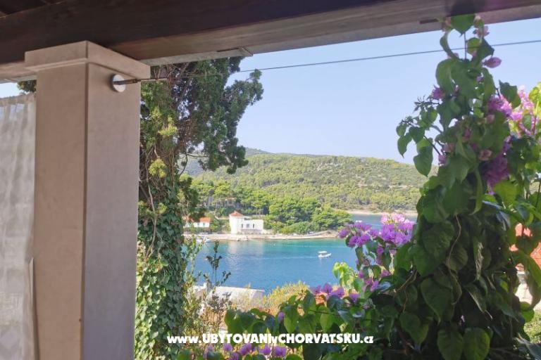 House Bjedov – photo 27